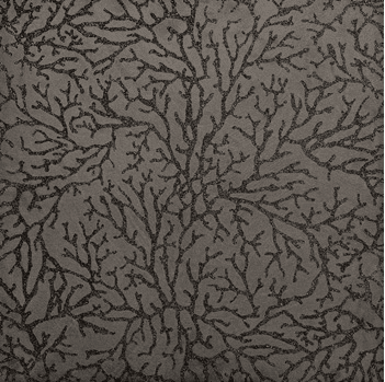 5th_2 (4).png